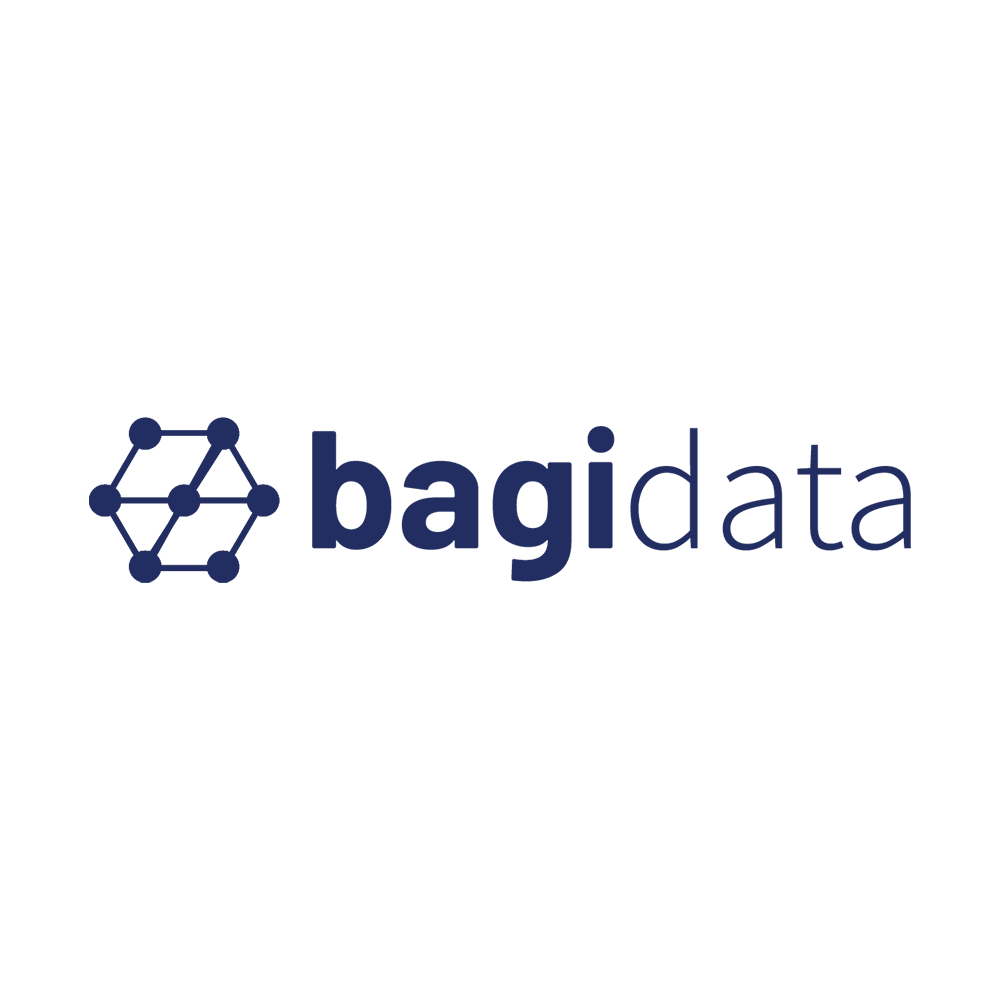 Bagidata